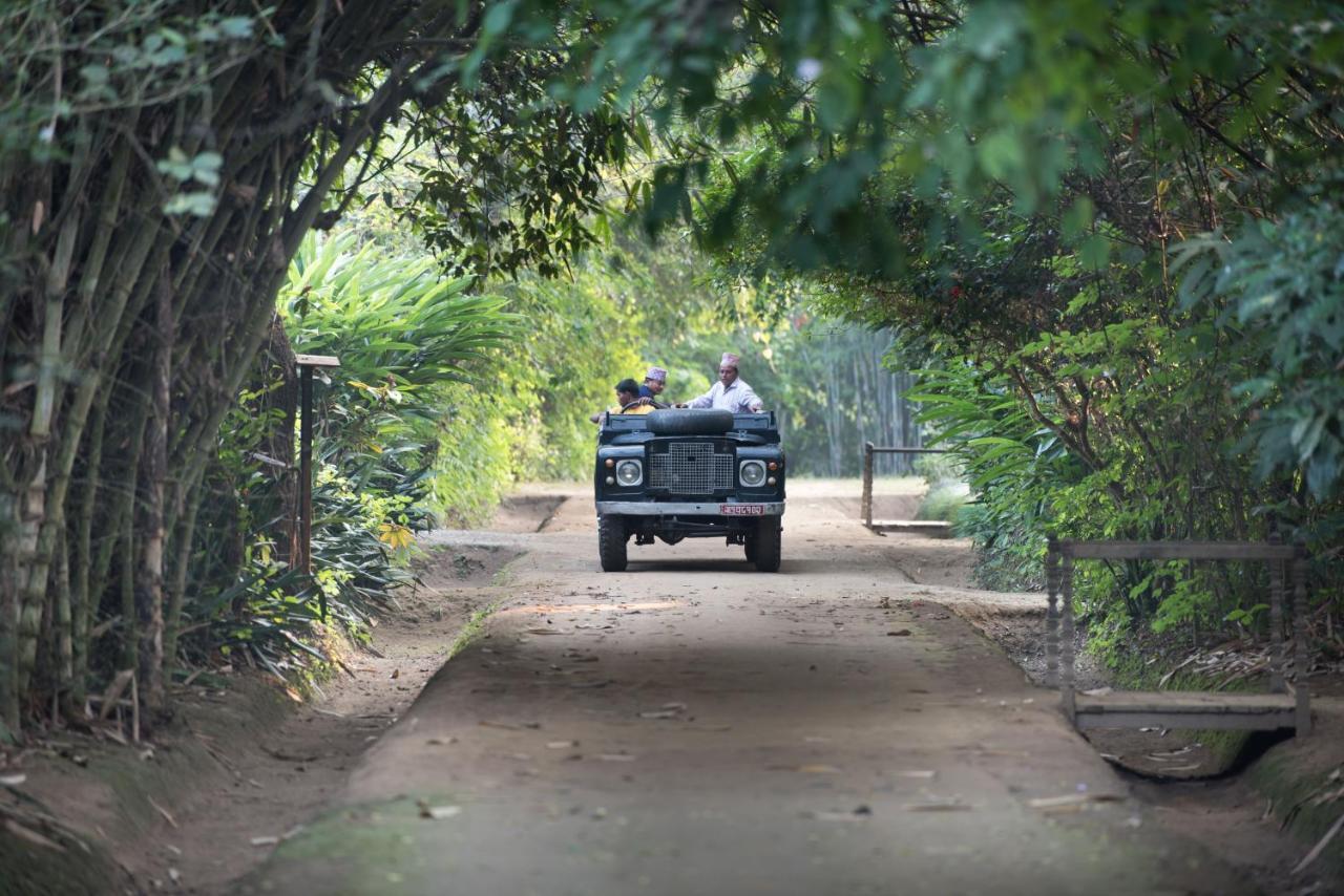 Tiger Tops Tharu Lodge Chitwan Extérieur photo