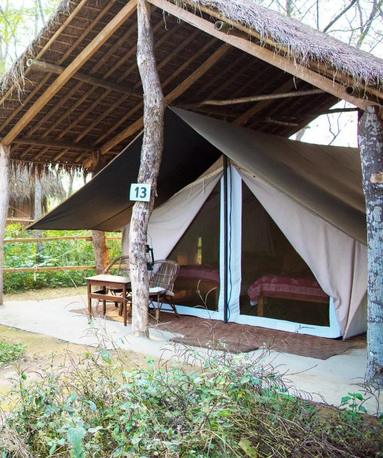 Tiger Tops Tharu Lodge Chitwan Extérieur photo