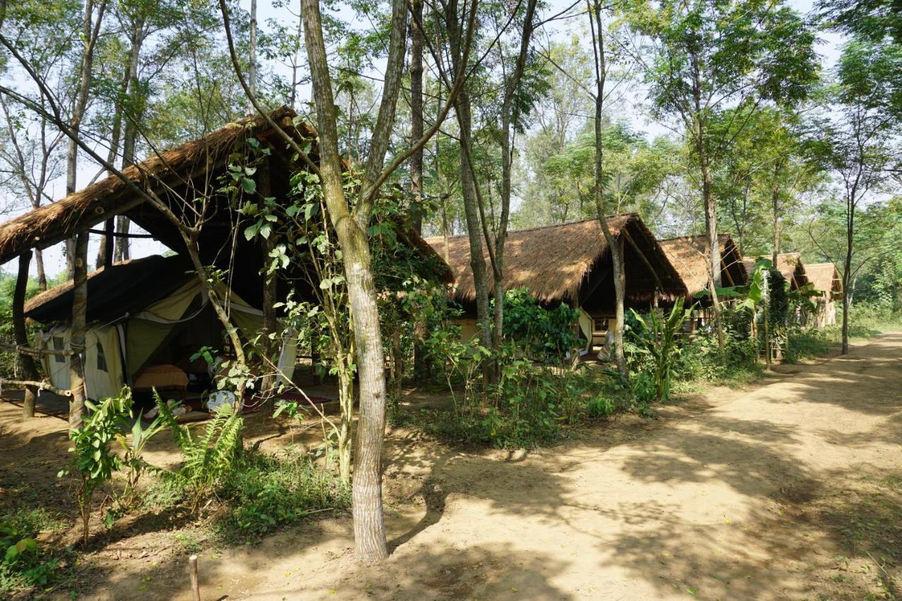 Tiger Tops Tharu Lodge Chitwan Extérieur photo