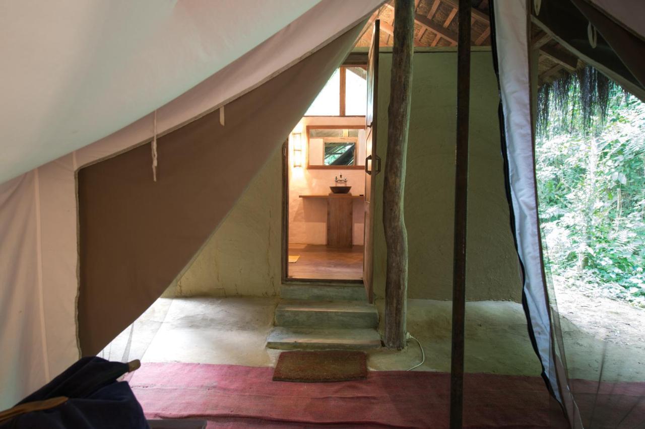 Tiger Tops Tharu Lodge Chitwan Extérieur photo