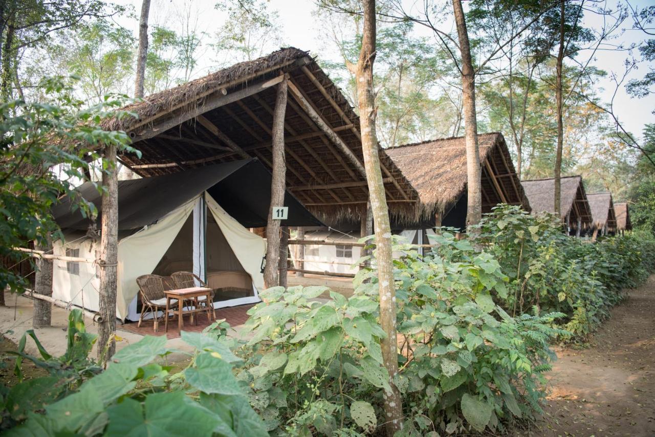 Tiger Tops Tharu Lodge Chitwan Extérieur photo