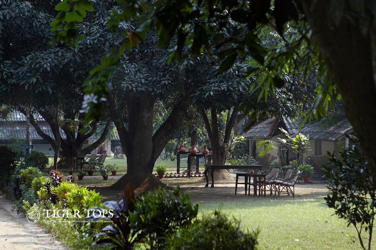 Tiger Tops Tharu Lodge Chitwan Extérieur photo