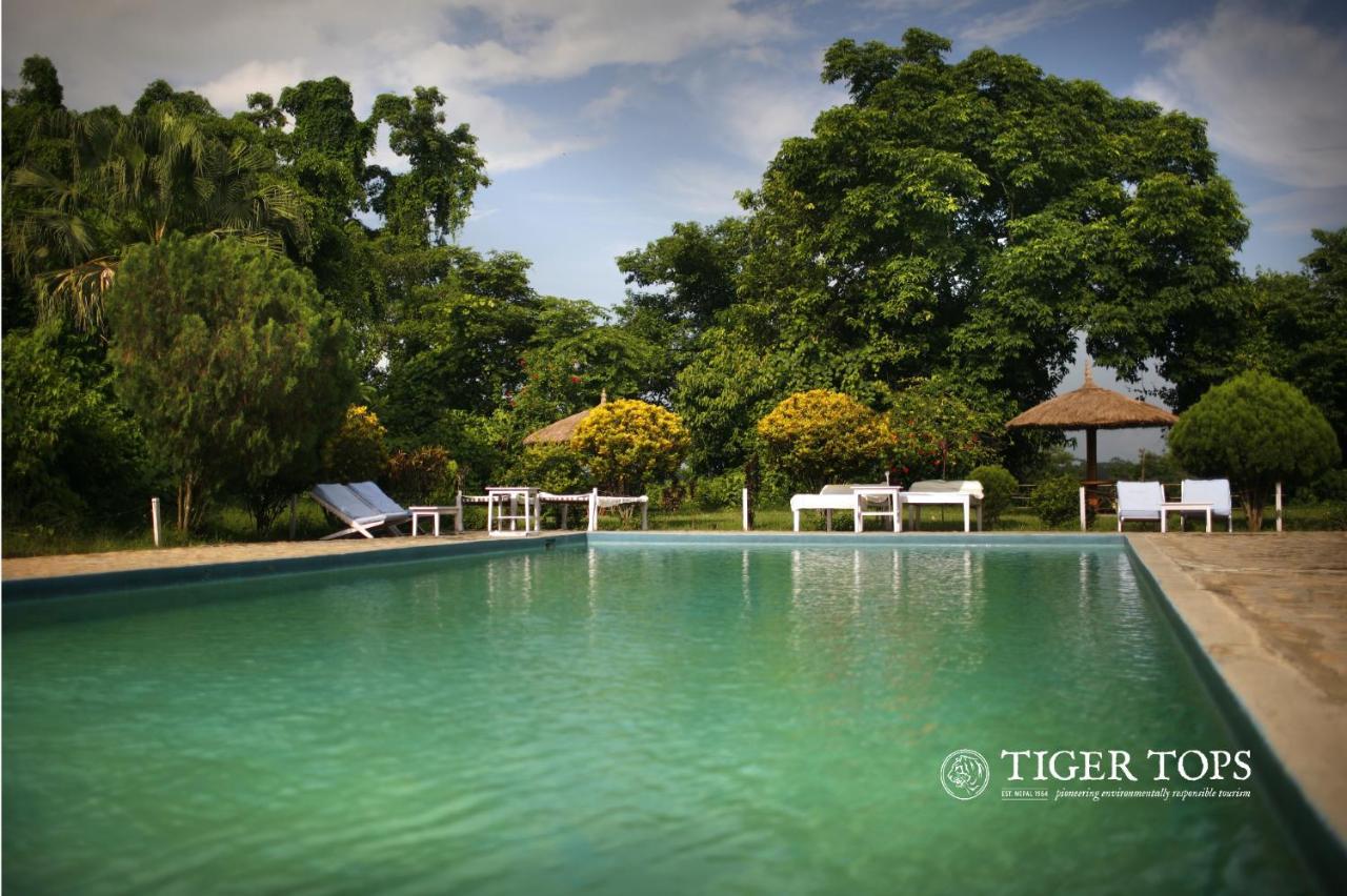 Tiger Tops Tharu Lodge Chitwan Extérieur photo