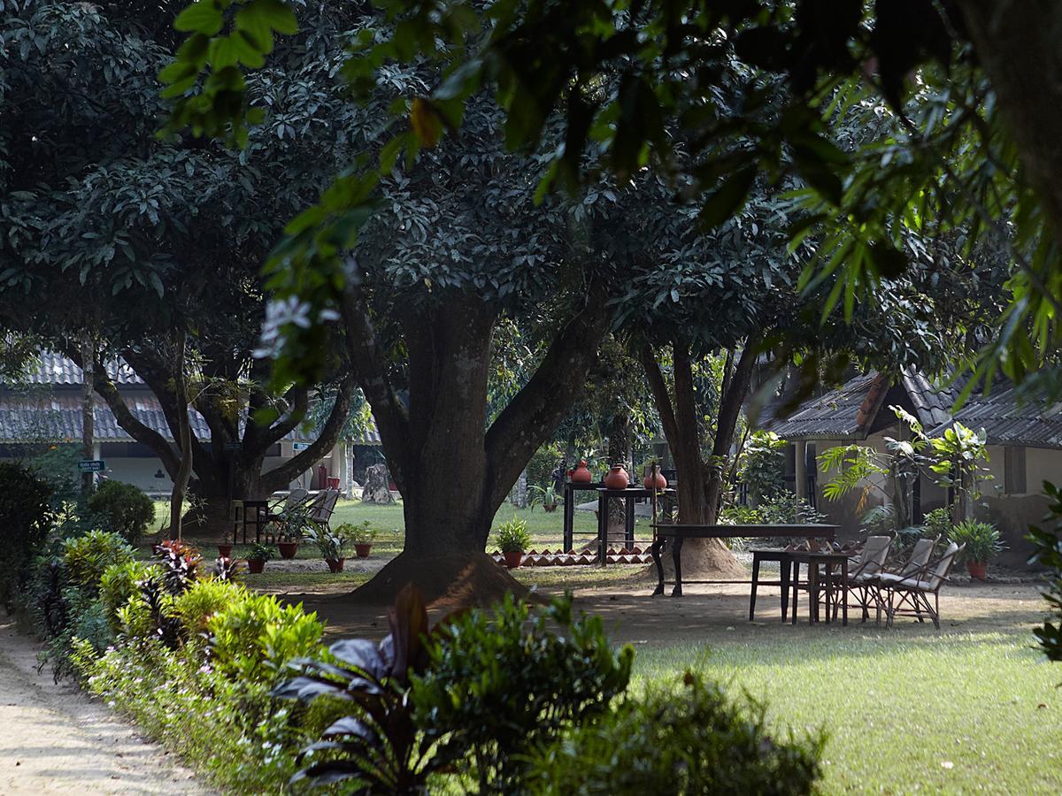 Tiger Tops Tharu Lodge Chitwan Extérieur photo