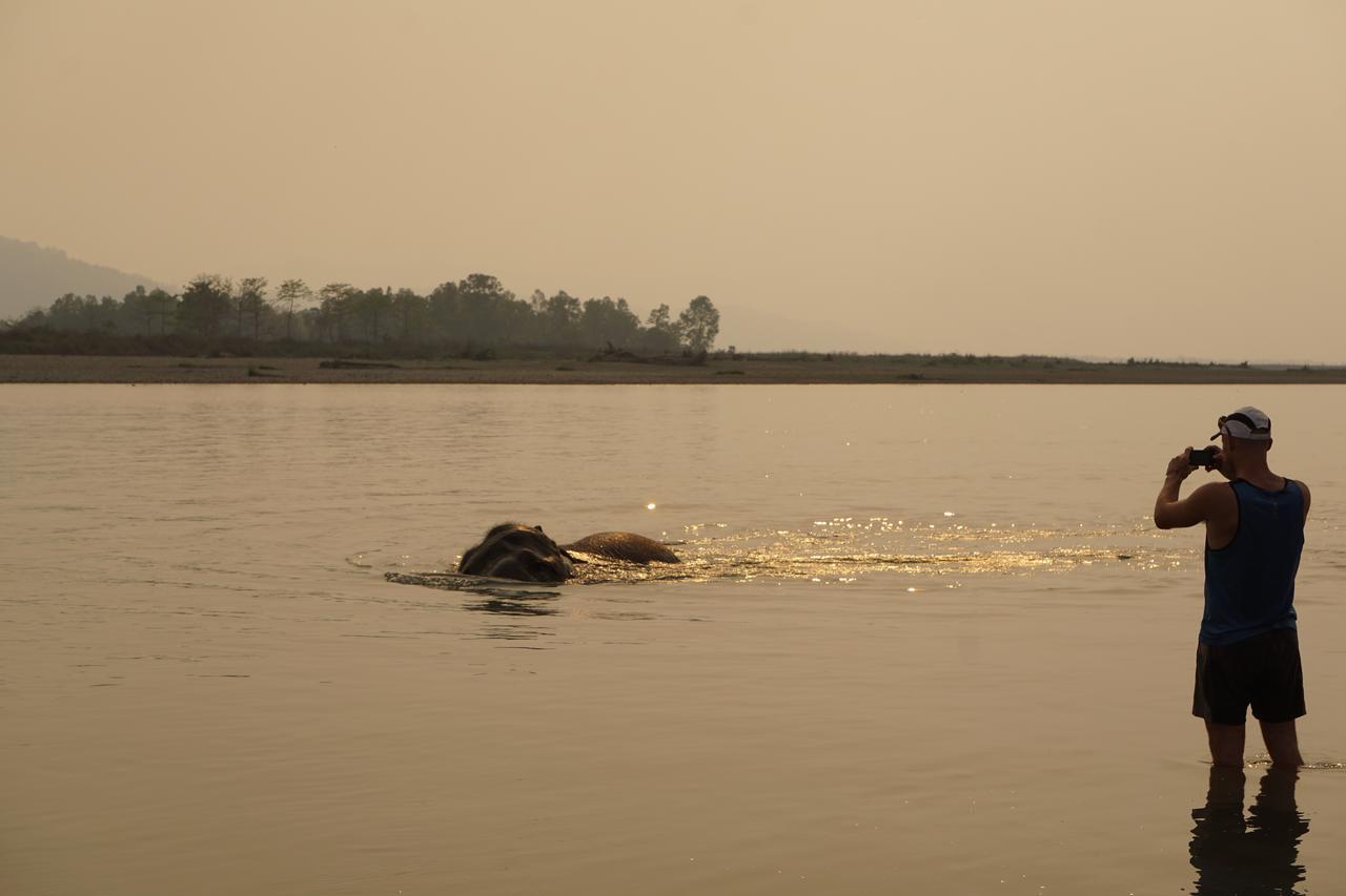 Tiger Tops Tharu Lodge Chitwan Extérieur photo
