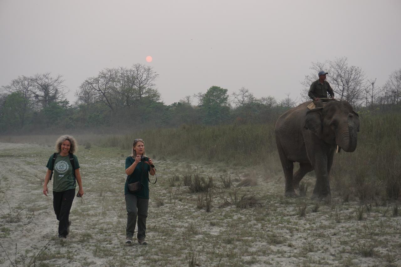 Tiger Tops Tharu Lodge Chitwan Extérieur photo