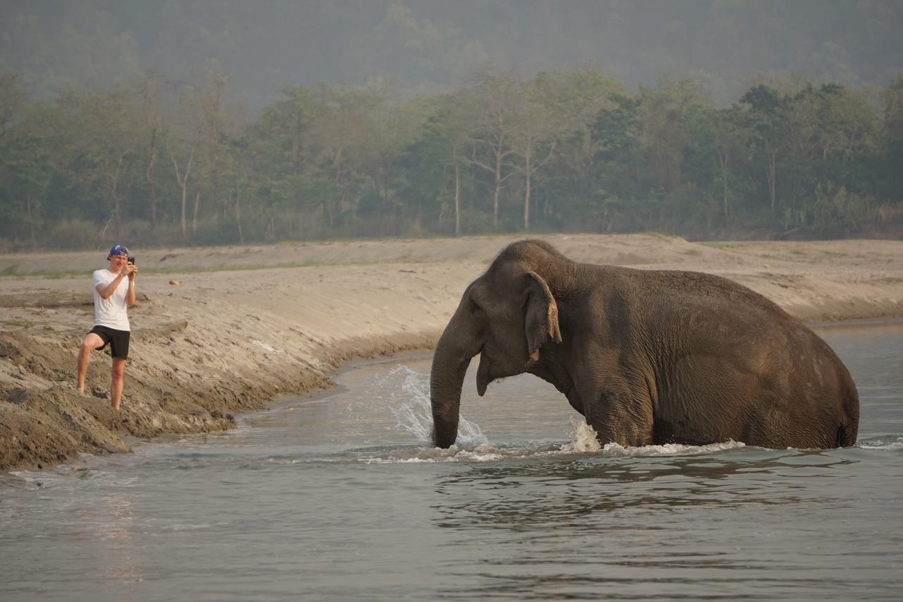 Tiger Tops Tharu Lodge Chitwan Extérieur photo