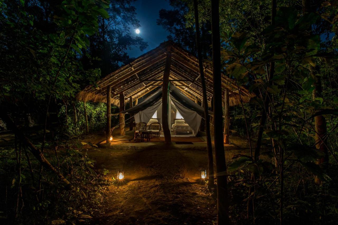 Tiger Tops Tharu Lodge Chitwan Extérieur photo