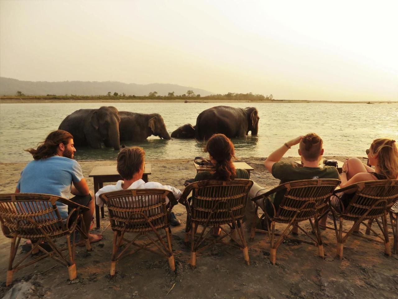 Tiger Tops Tharu Lodge Chitwan Extérieur photo