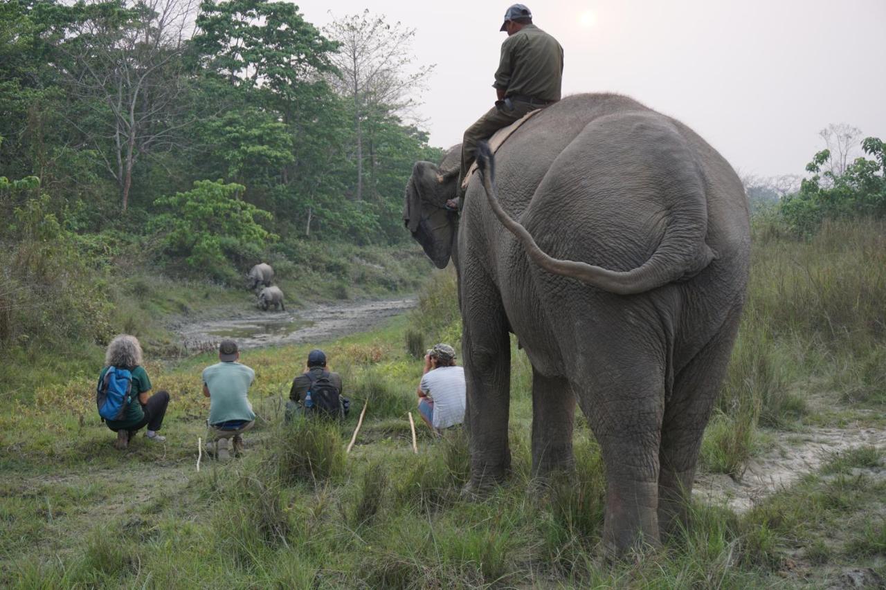 Tiger Tops Tharu Lodge Chitwan Extérieur photo